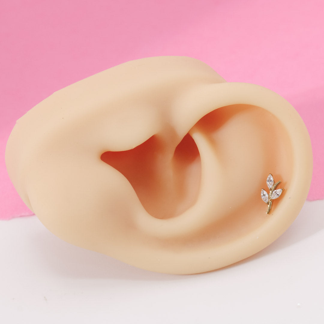 Piercing Botánica Dorada Titanio - Image 7